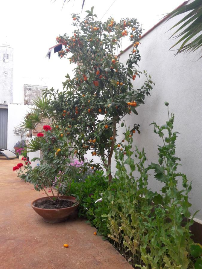 אל פובלה נואו דל דלתא La Casa De La Lluna מראה חיצוני תמונה